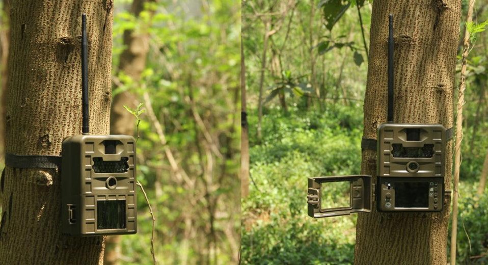 The Best Of Trail Camera